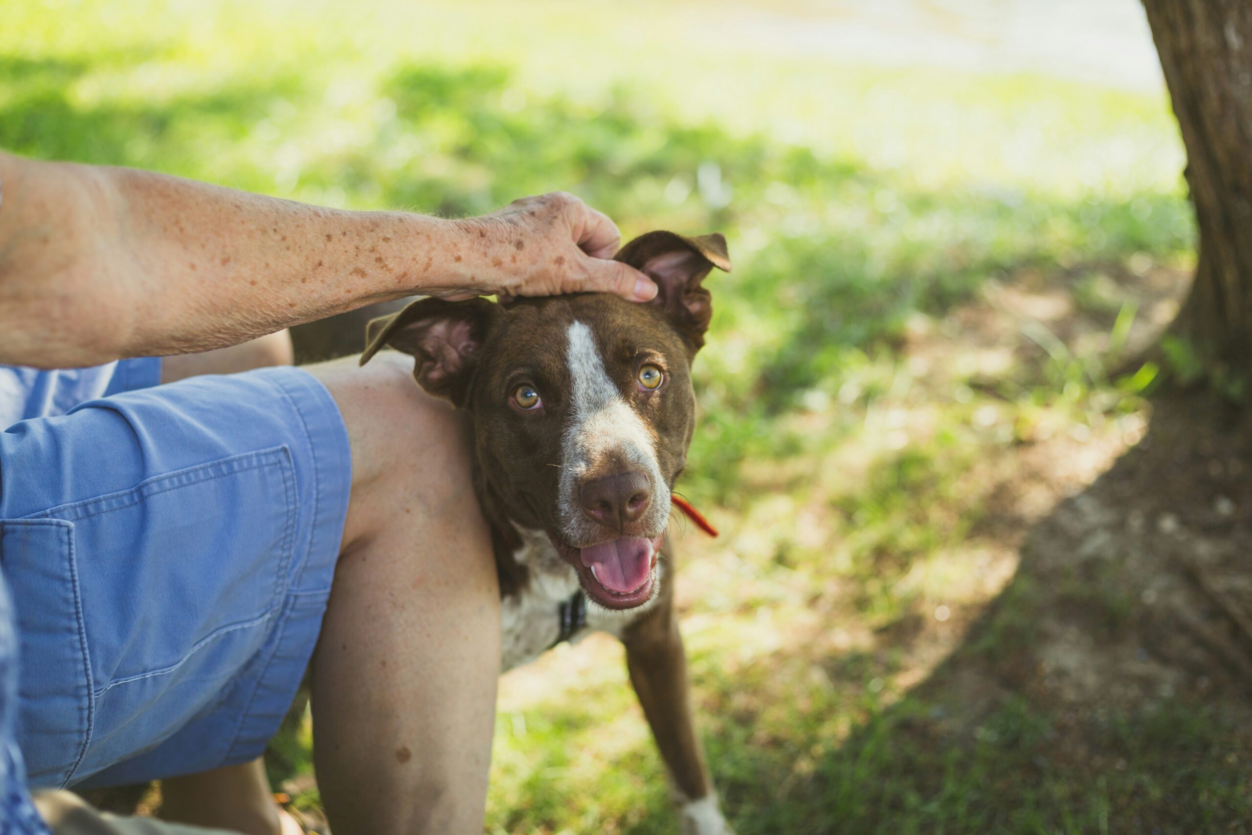 Evan Byron Cleveland Lawyer-Dog Rescuer