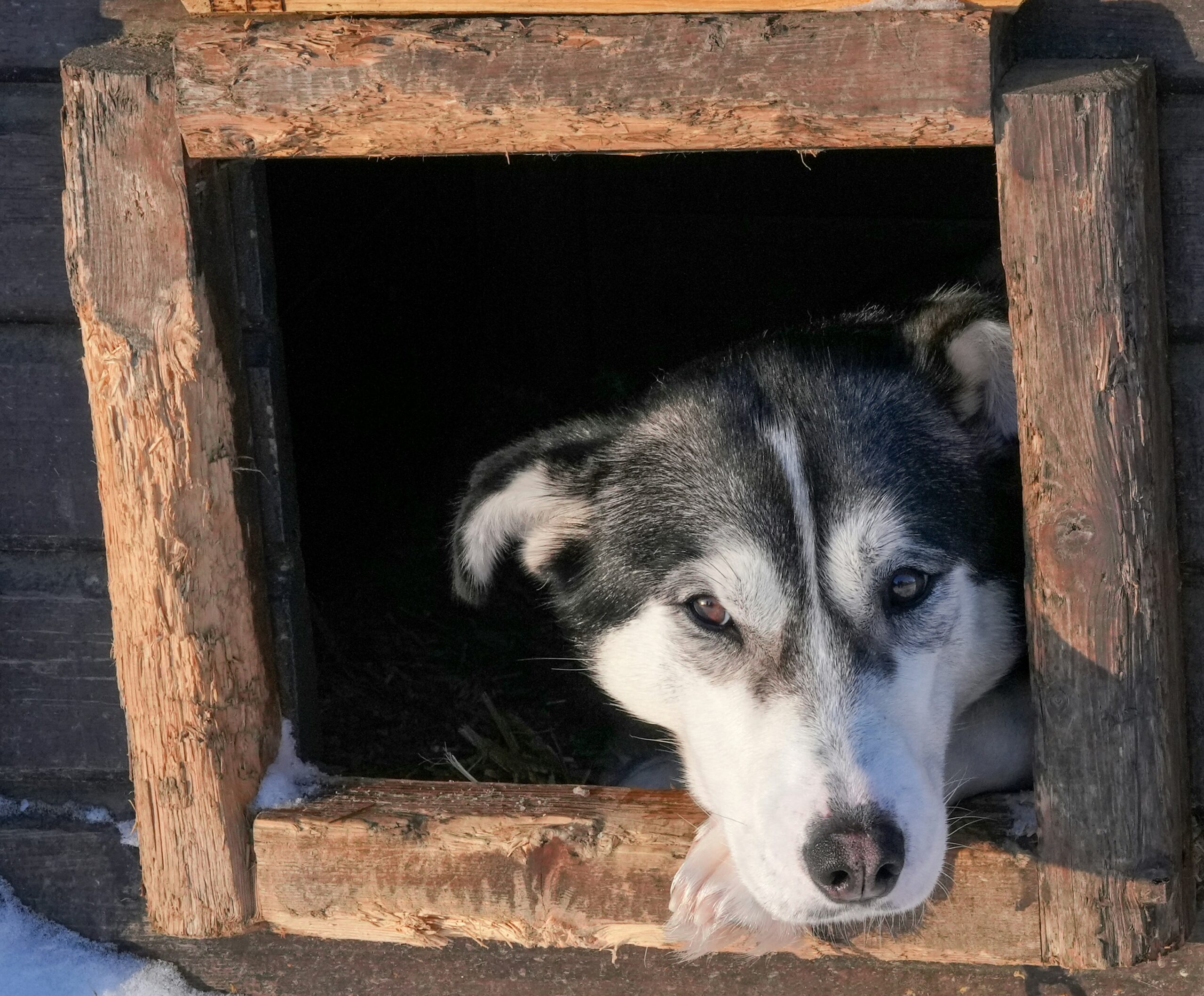 Temporary Homes