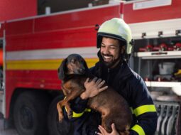 Rescue Dogs