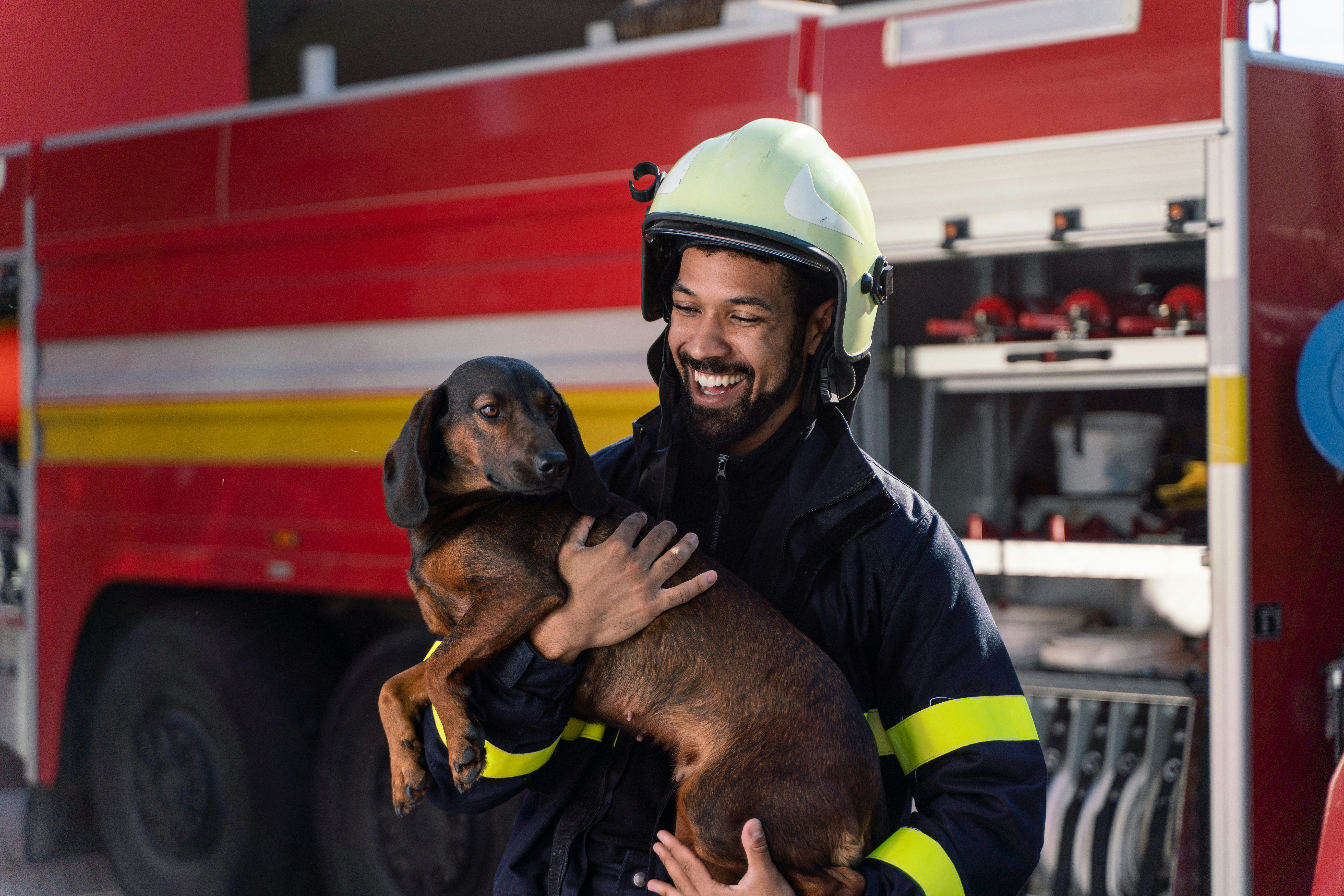 Rescue Dogs